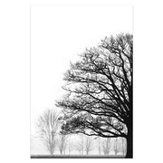 Black And White Winter Trees Painting